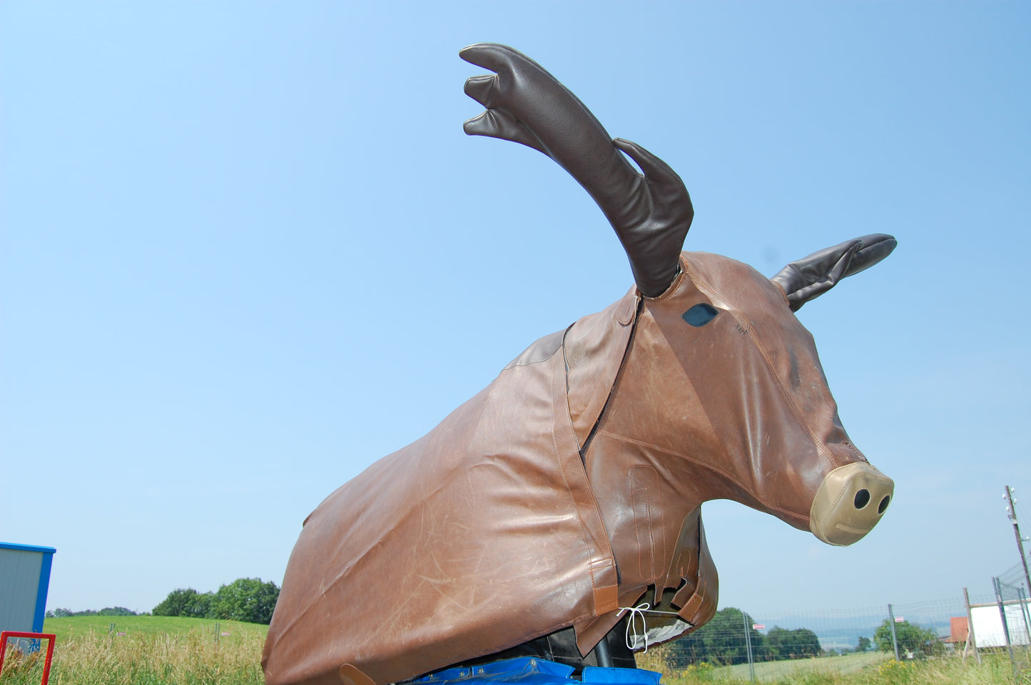 Bullriding "Elch"