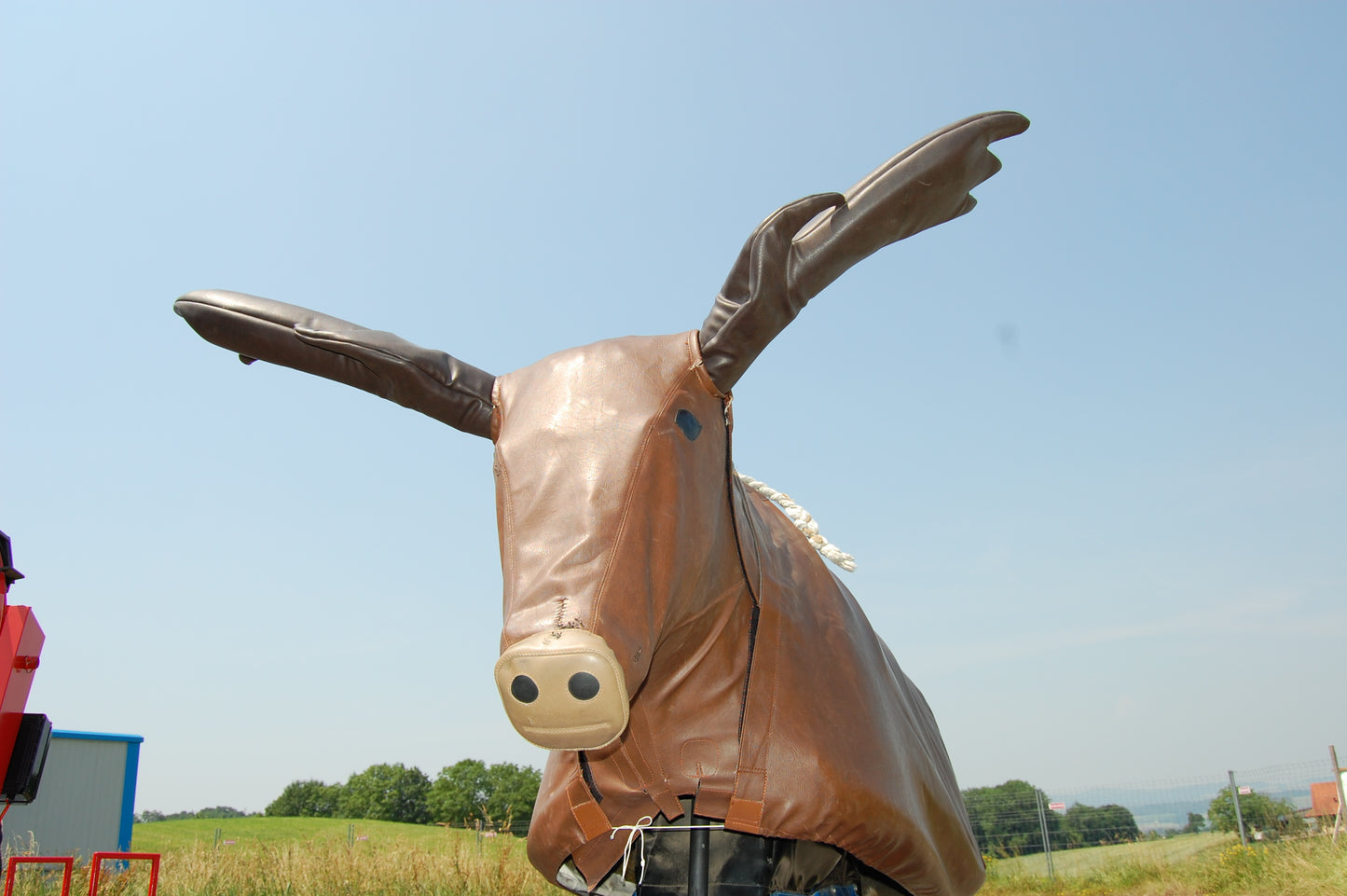 Bullriding "Elch"