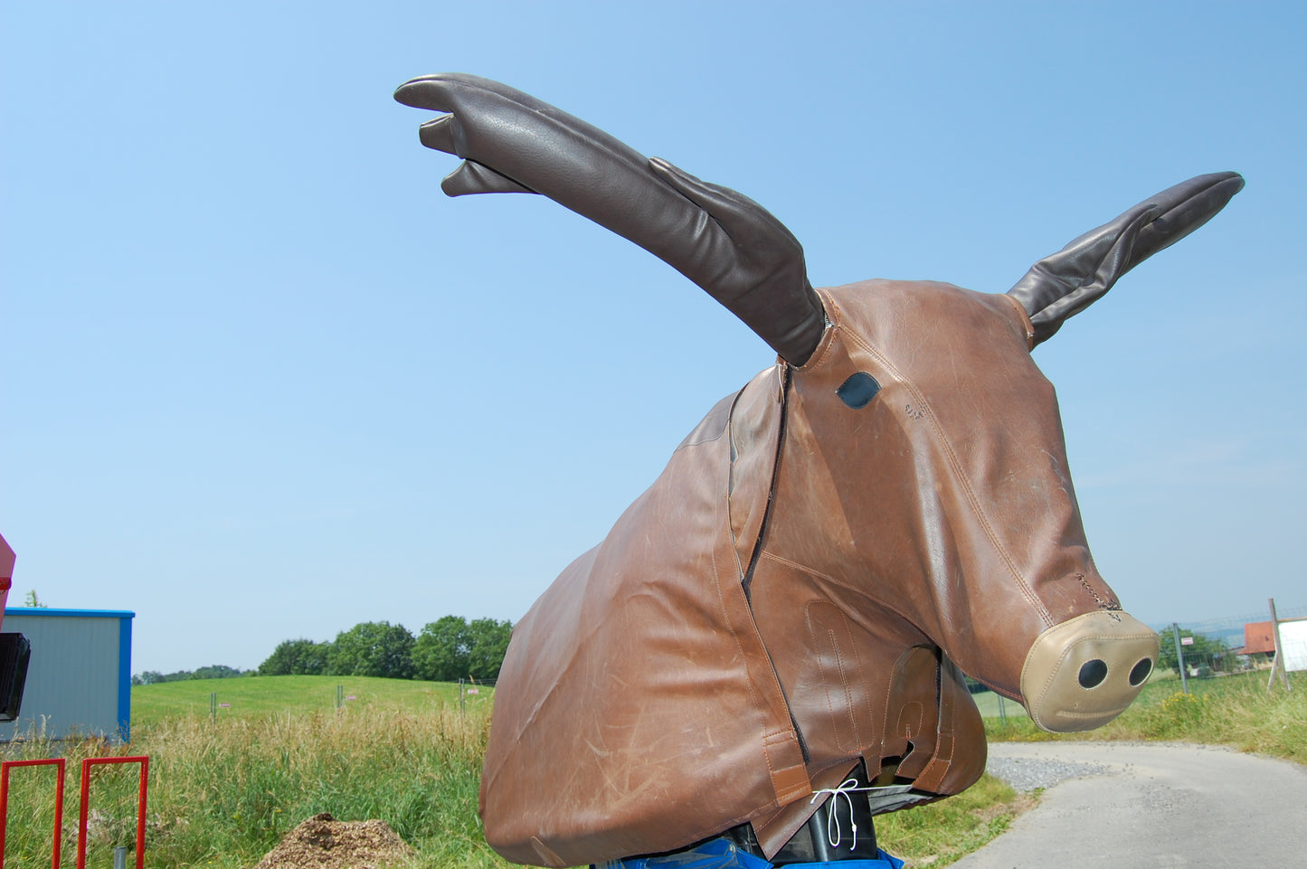 Bullriding "Elch"