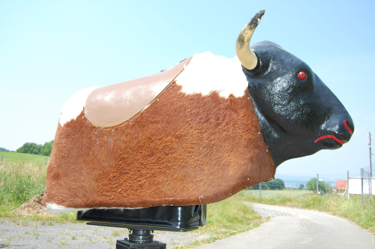 Bullriding "Bruno"