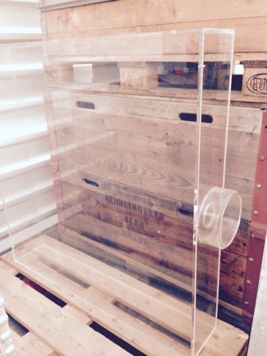 Wettbewerbs-Urne aus Plexiglas
