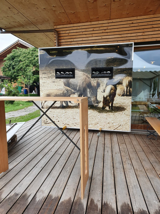 Schiessstand Sujet Wildsau