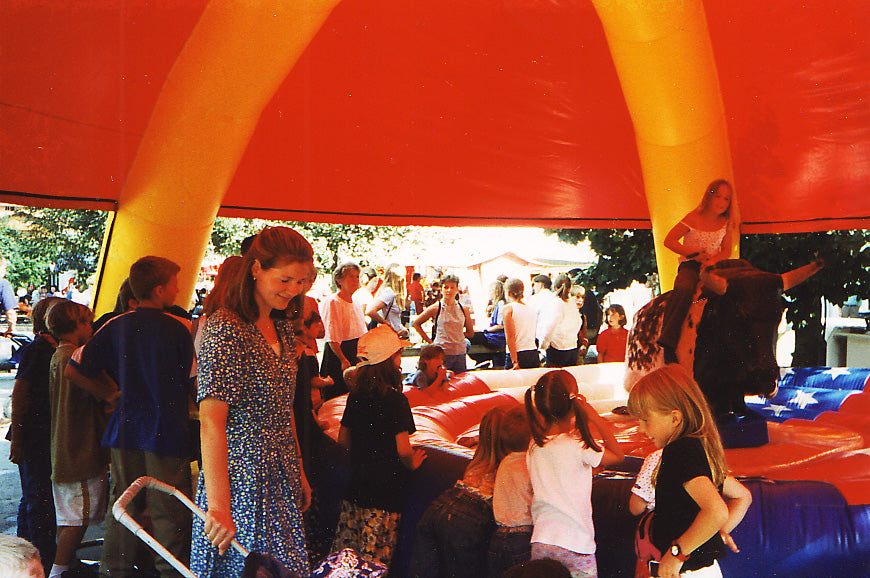 Partydom rot