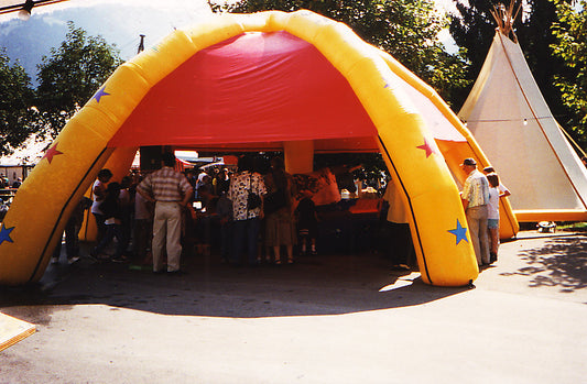 Partydom rot